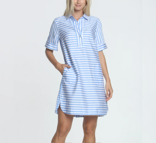 Hinson Wu - Aileen Short Sleeve Button/Stripe/Gingham Dress in Blue/White