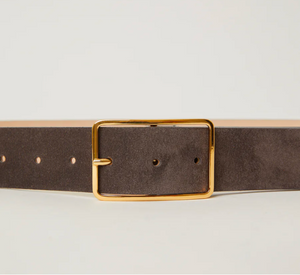 
            
                Load image into Gallery viewer, B-Low The Belt - Milla Suede Belt in Charcoal Gold
            
        