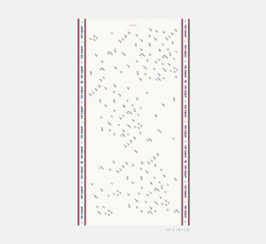 Vilagallo - Ski Print Scarf in Cream, Red, and Blue
