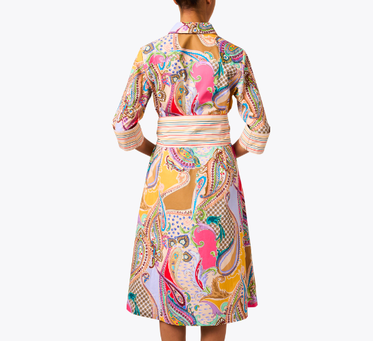 Hinson Wu - Tamron 3/4 Sleeve Dress in Paisley Print