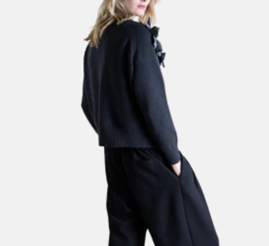 Psophia - Grey Sweater with Applique in Caviar