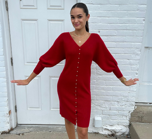 Iris Setlakwe - Double V Batwing Cardigan Dress in Cranberry