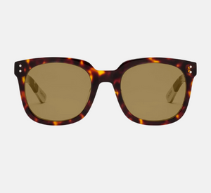 Caddis - Jockamo Sunglasses in Turtle